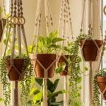 24 Crochet Plant Hanger Ideas That Elevate Your Greenery